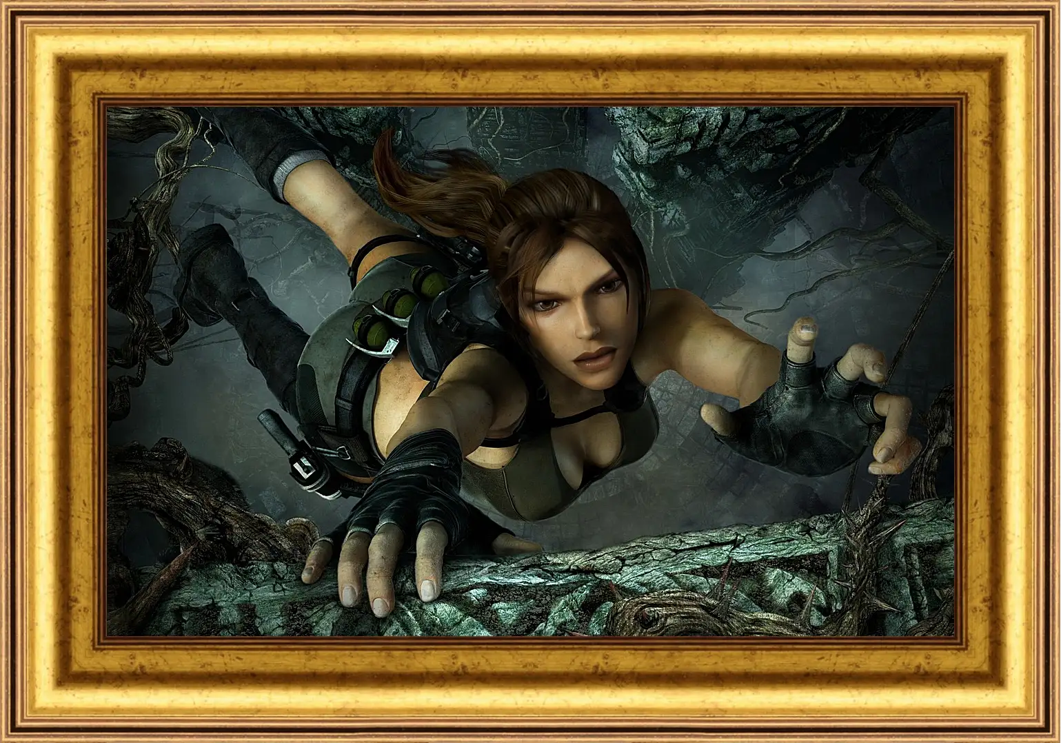 Картина в раме - Tomb Raider