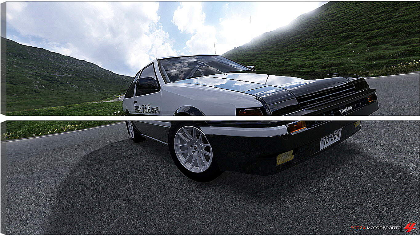 Модульная картина - Forza Motorsport 4
