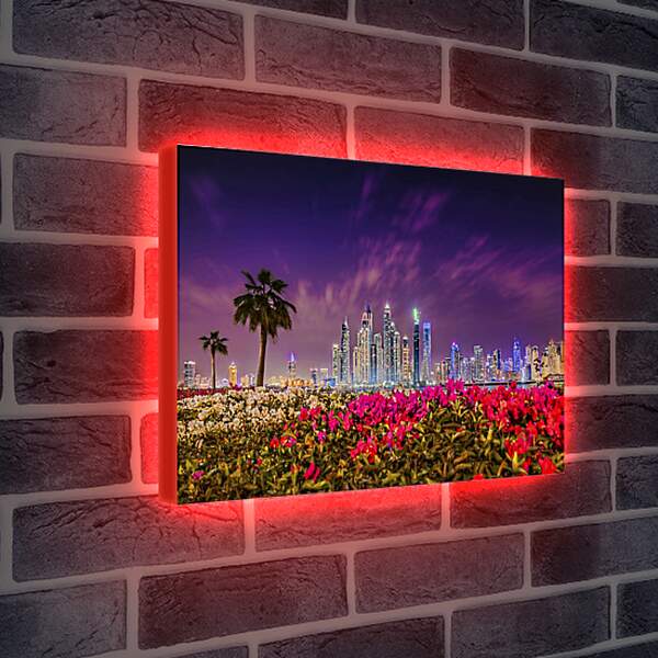 Лайтбокс световая панель - Клумбы цветов на фоне пальм и города. Дубай