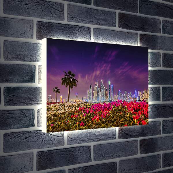 Лайтбокс световая панель - Клумбы цветов на фоне пальм и города. Дубай