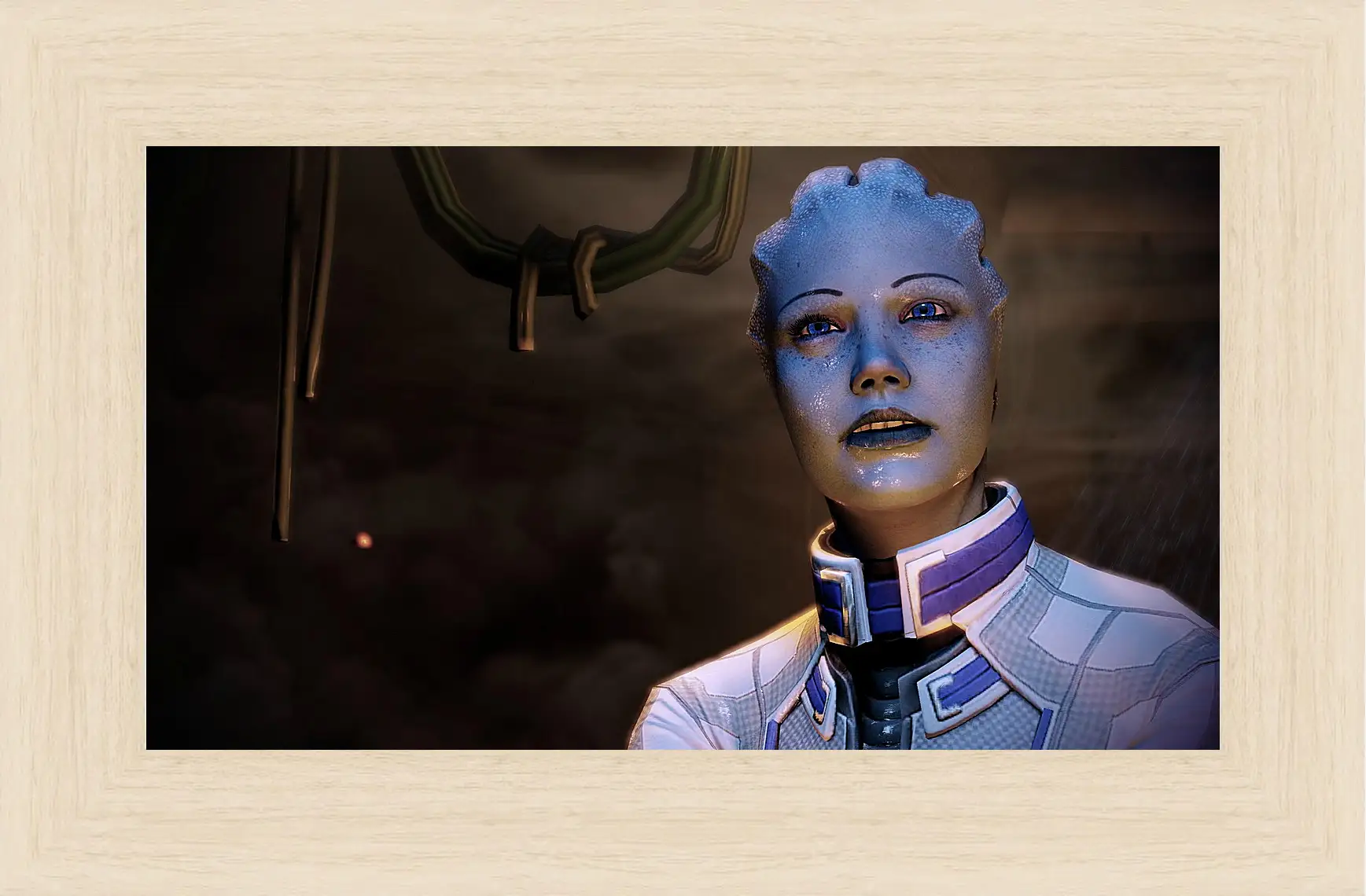Картина в раме - Mass Effect