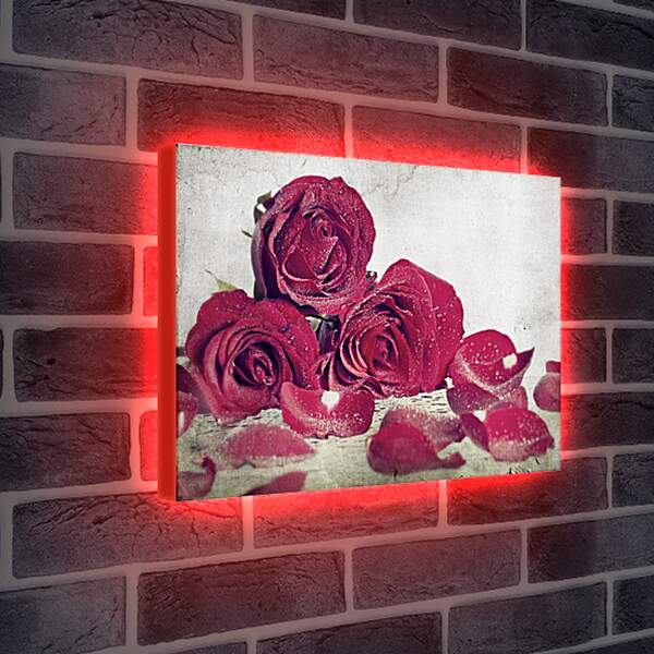 Лайтбокс световая панель - Розы в инее
