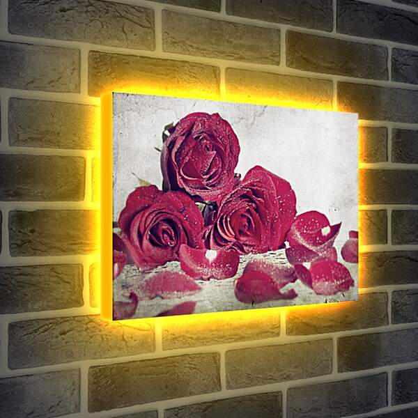 Лайтбокс световая панель - Розы в инее