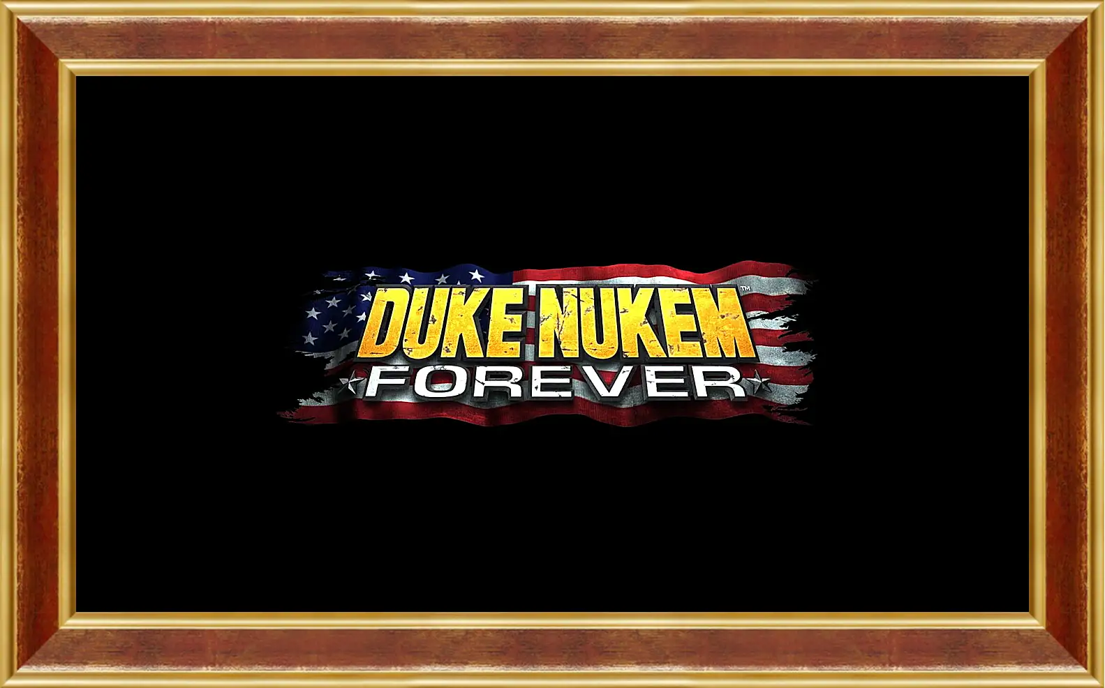 Картина в раме - Duke Nukem Forever
