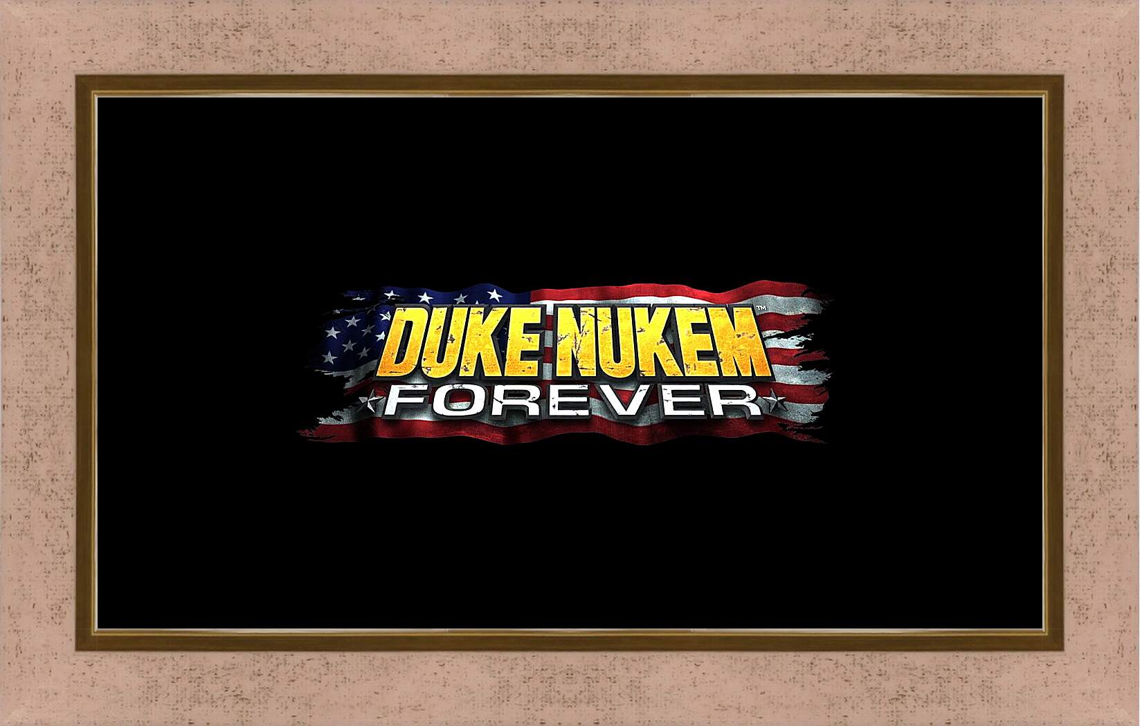 Картина в раме - Duke Nukem Forever
