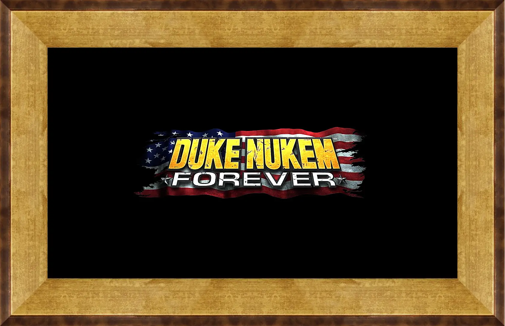 Картина в раме - Duke Nukem Forever
