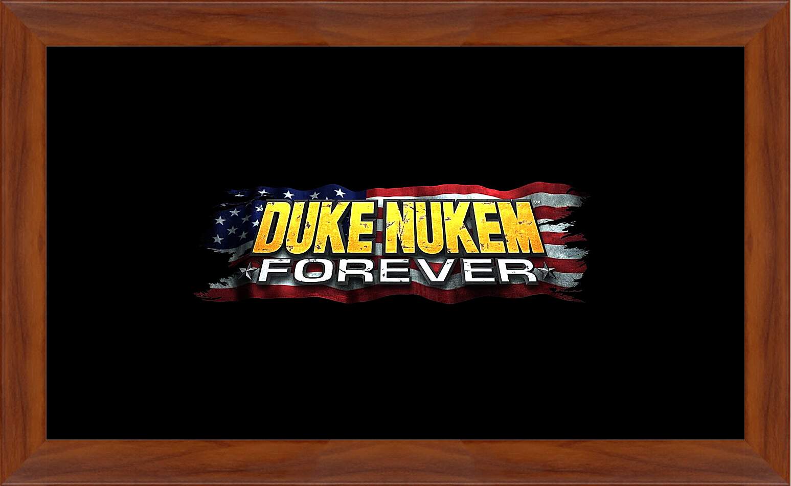 Картина в раме - Duke Nukem Forever
