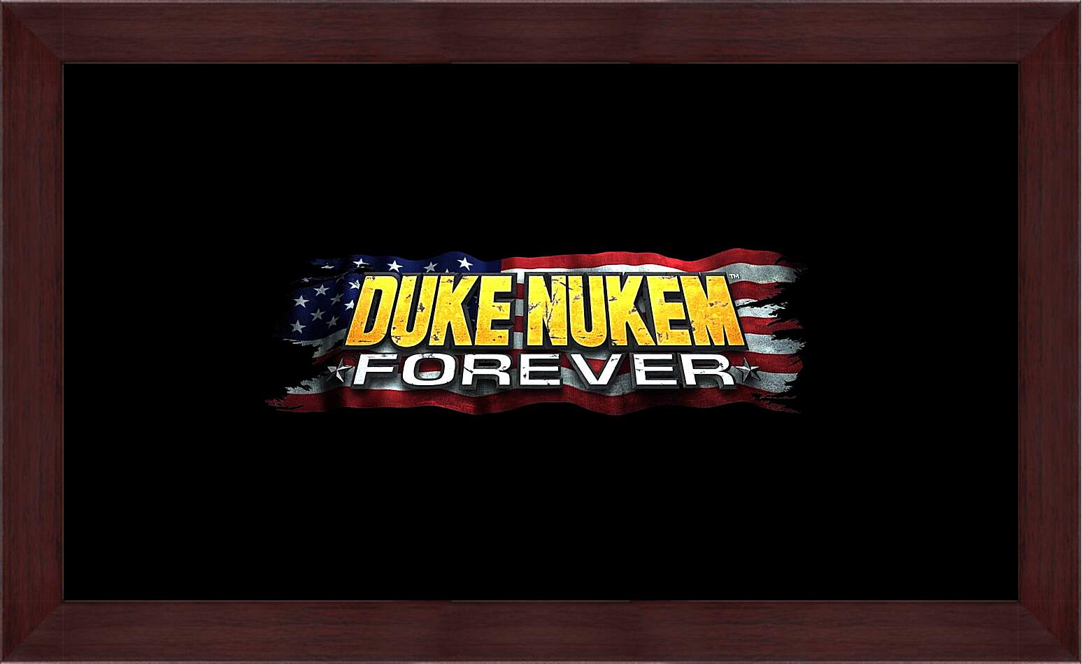 Картина в раме - Duke Nukem Forever
