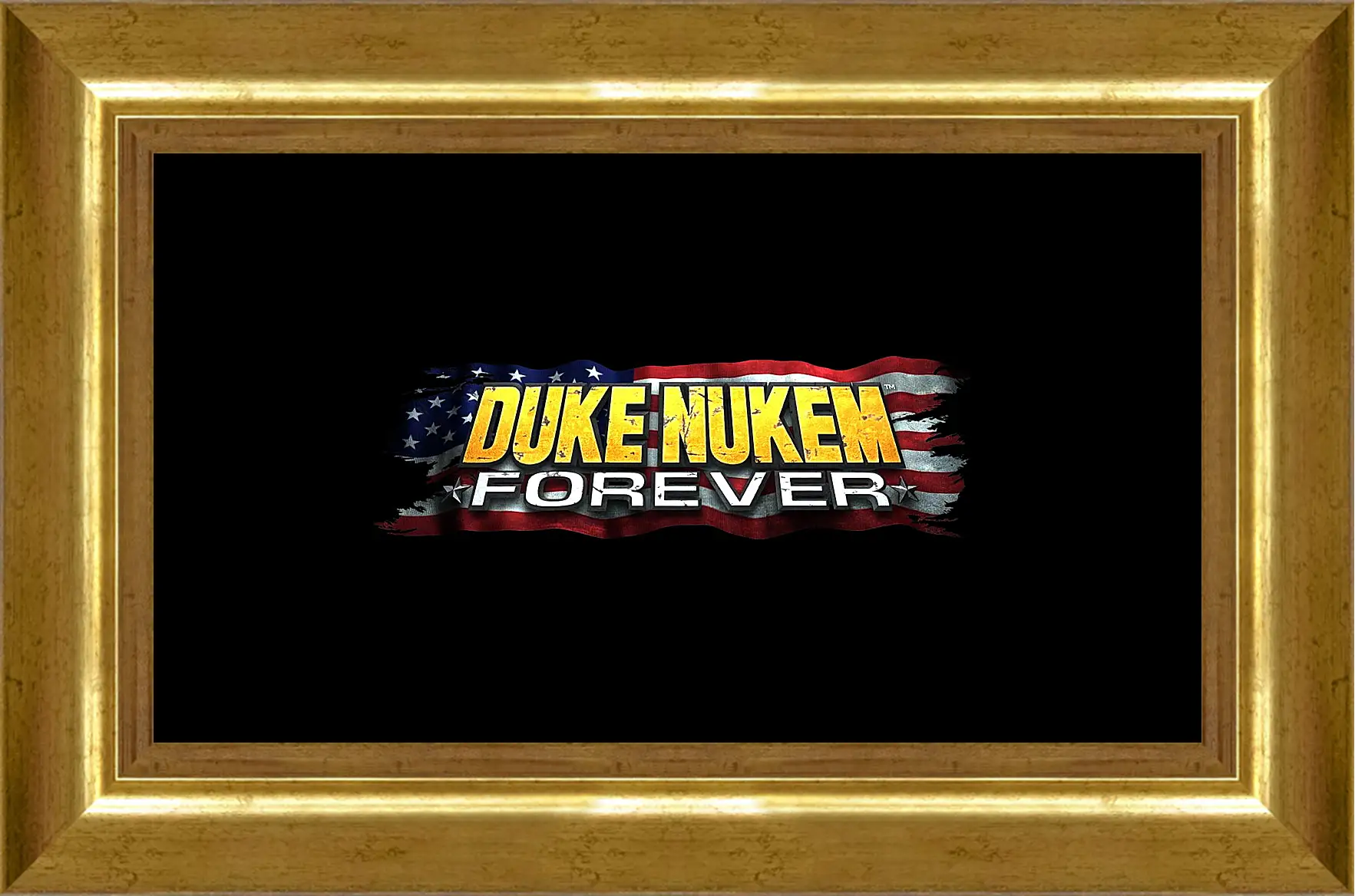 Картина в раме - Duke Nukem Forever
