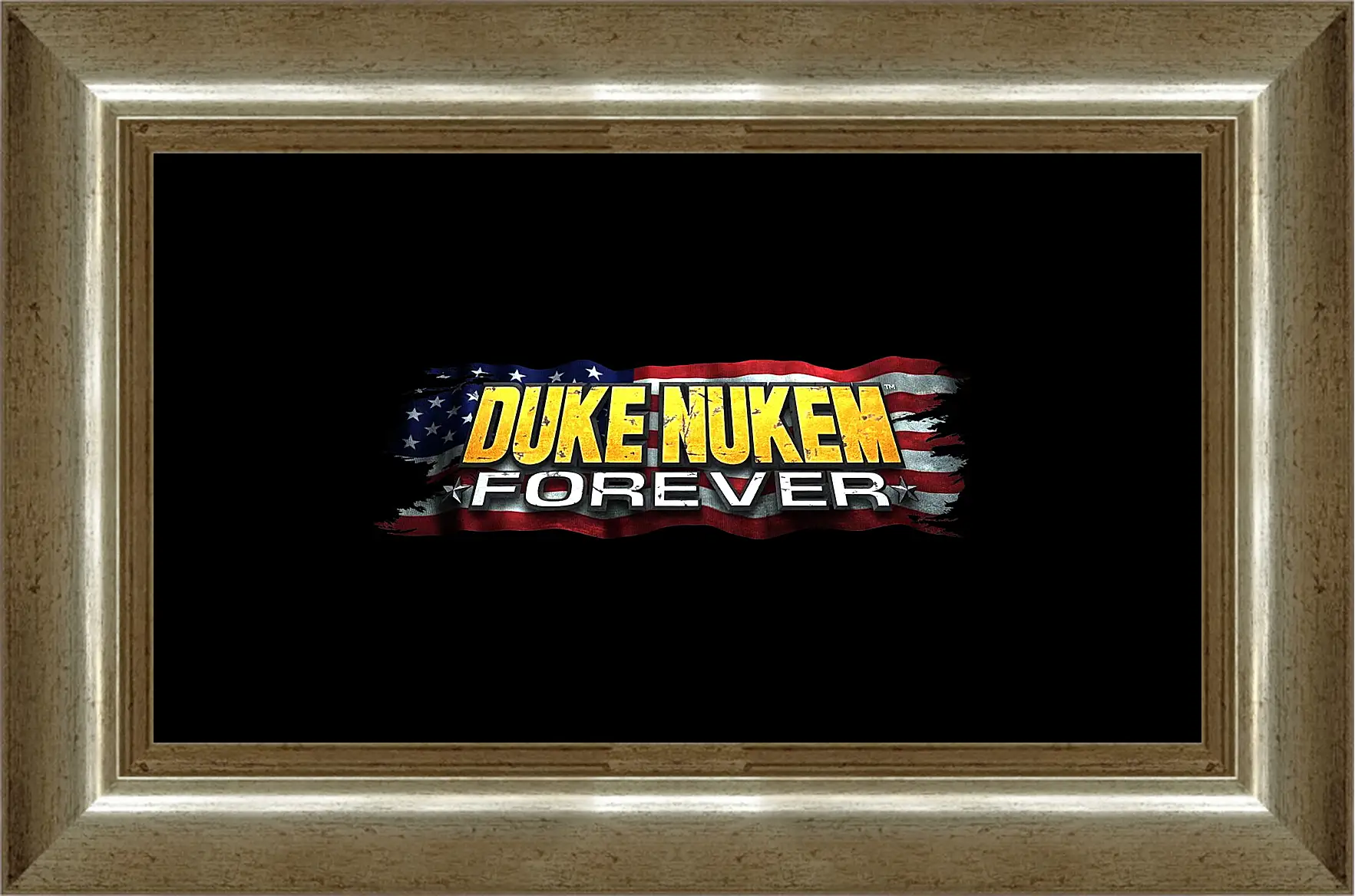 Картина в раме - Duke Nukem Forever
