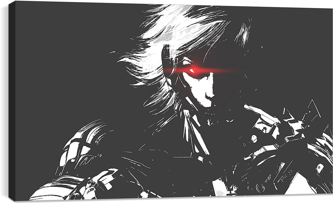 Постер и плакат - Metal Gear Rising