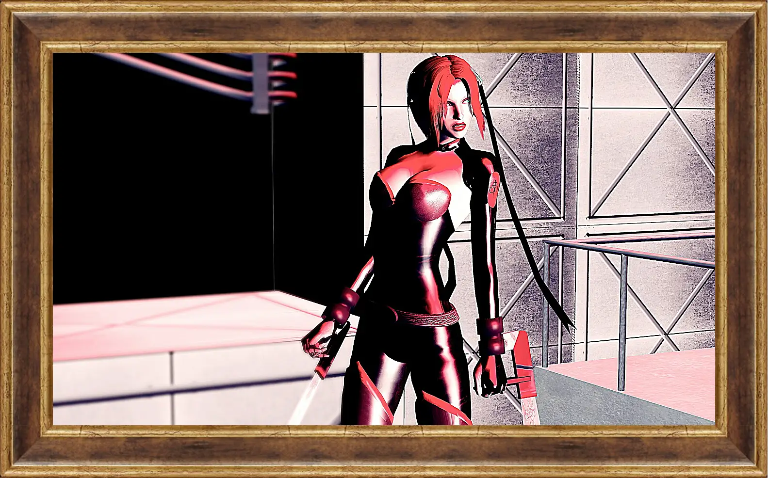 Картина в раме - BloodRayne 
