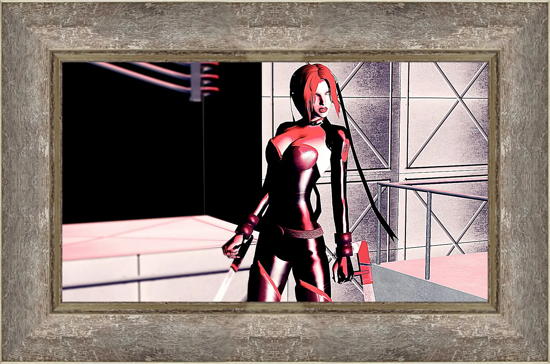 Картина в раме - BloodRayne 
