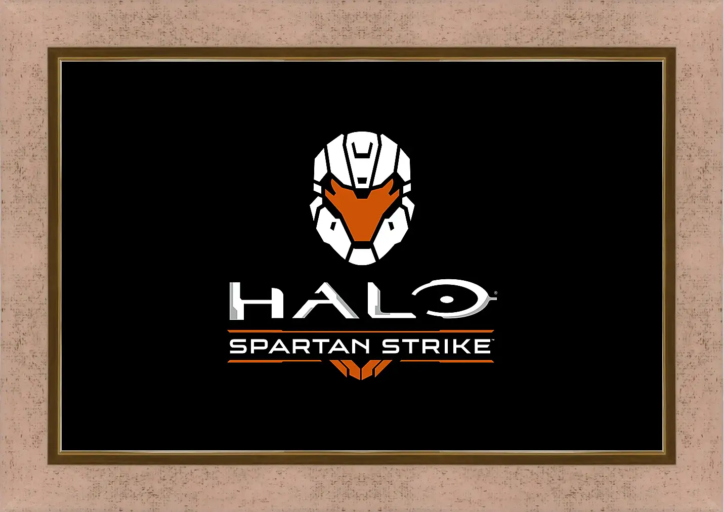 Картина в раме - Halo: Spartan Strike