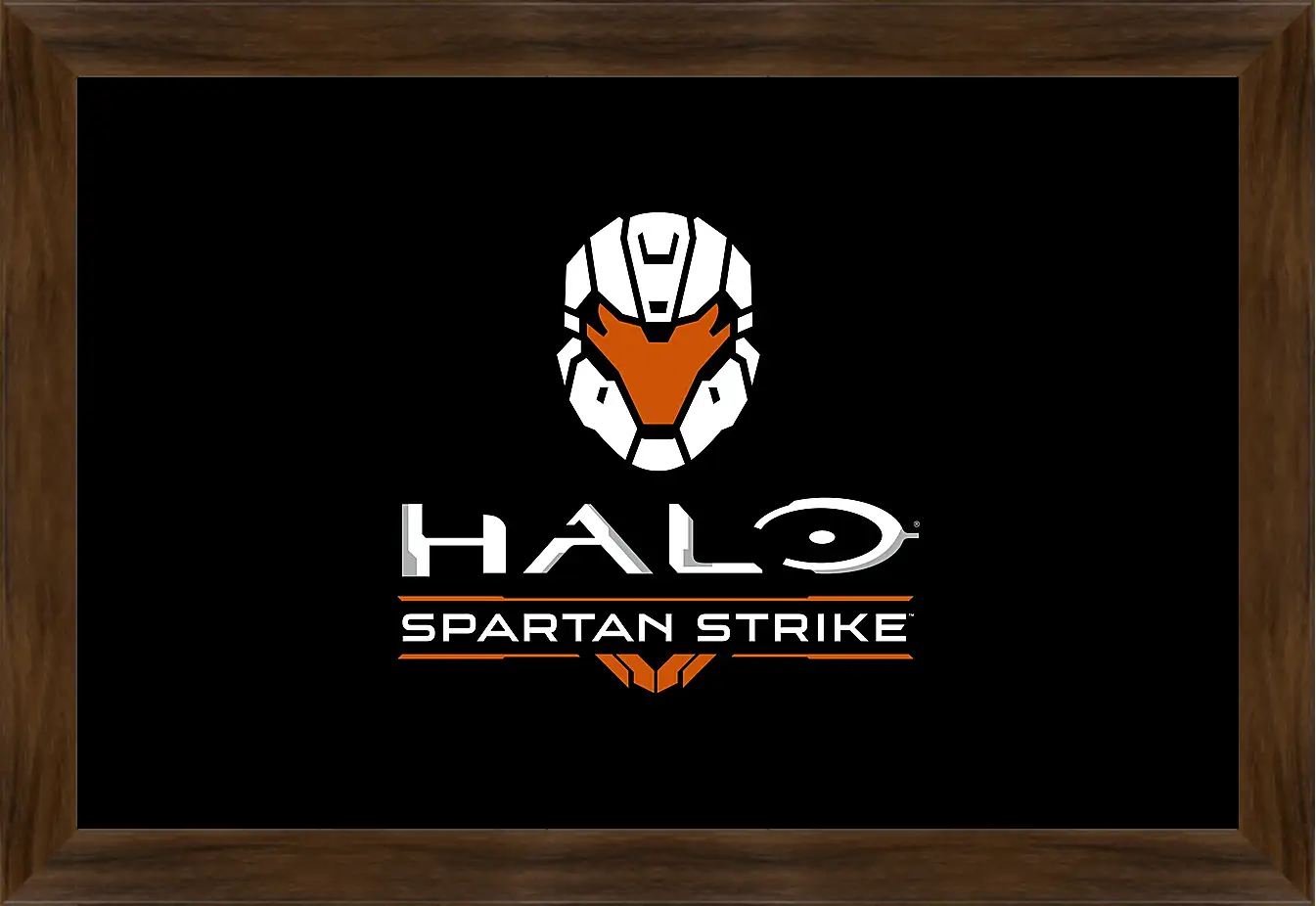 Картина в раме - Halo: Spartan Strike