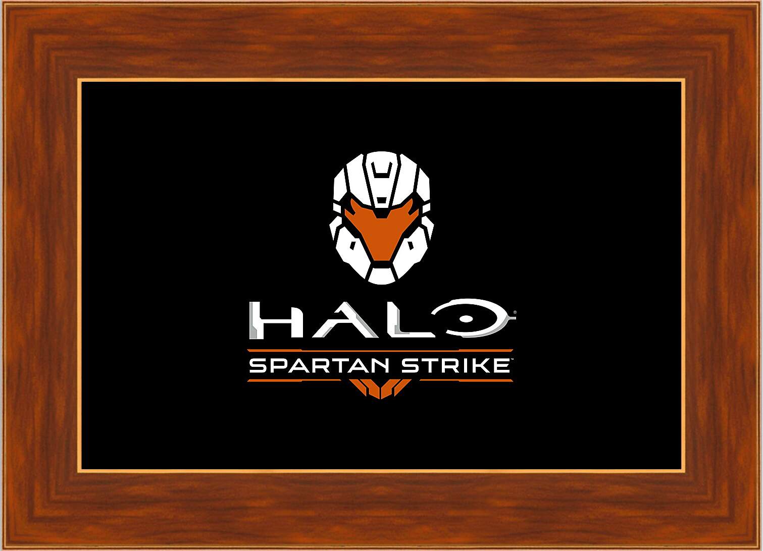 Картина в раме - Halo: Spartan Strike