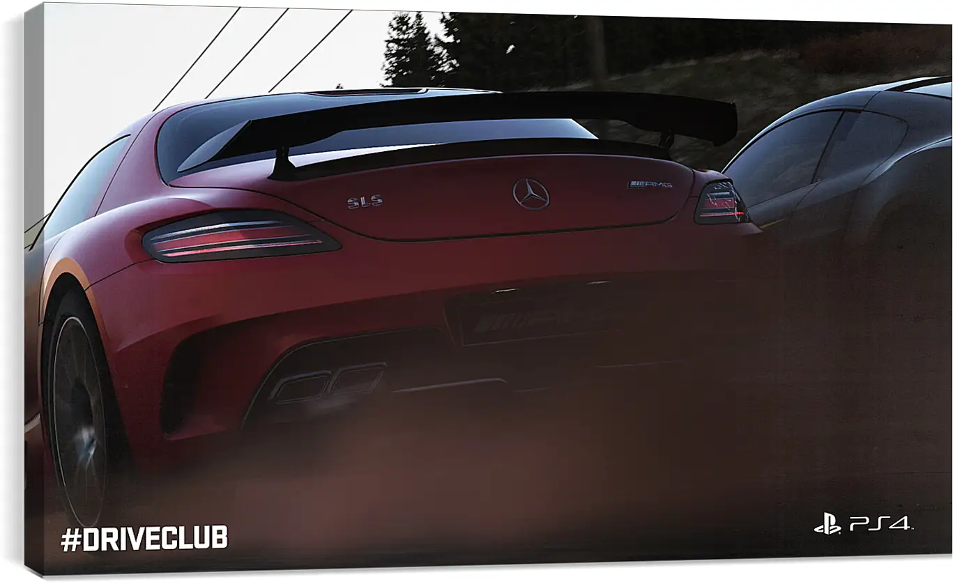 Постер и плакат - Driveclub
