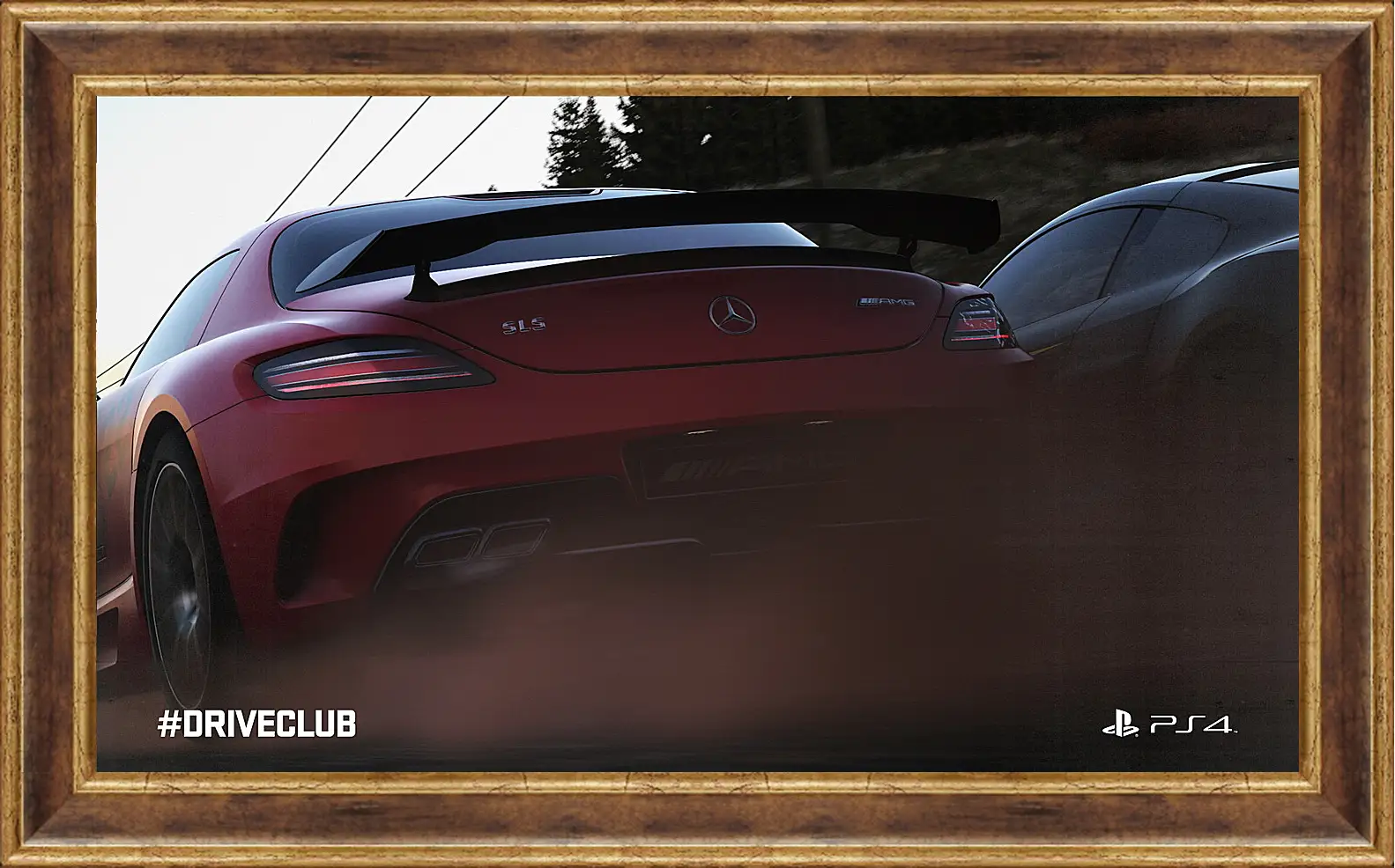 Картина в раме - Driveclub
