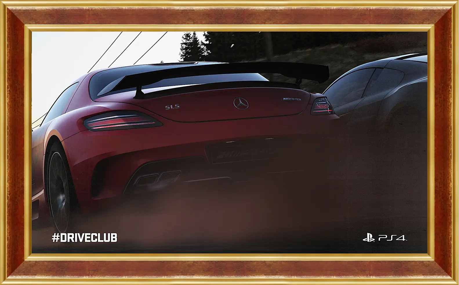 Картина в раме - Driveclub
