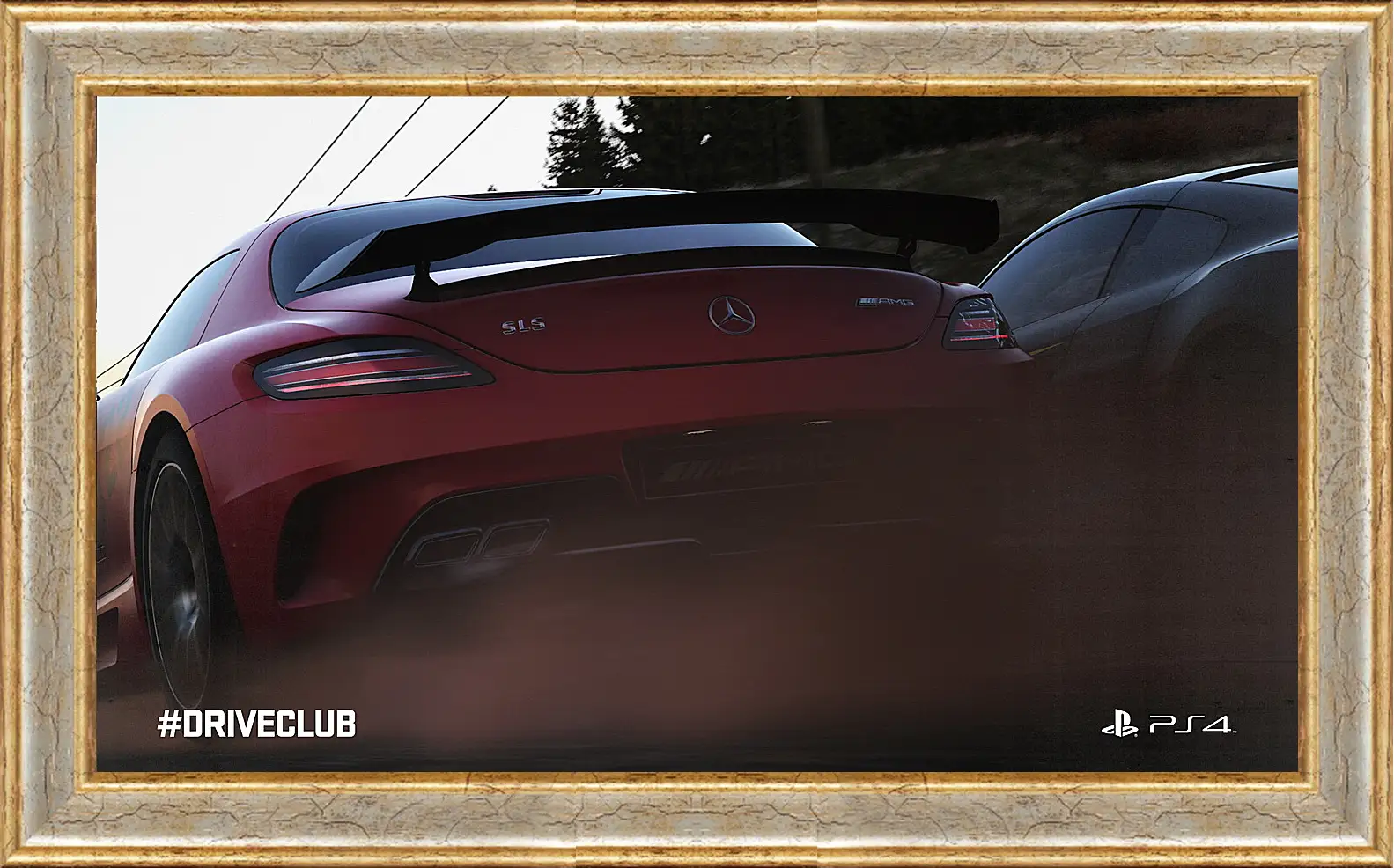 Картина в раме - Driveclub
