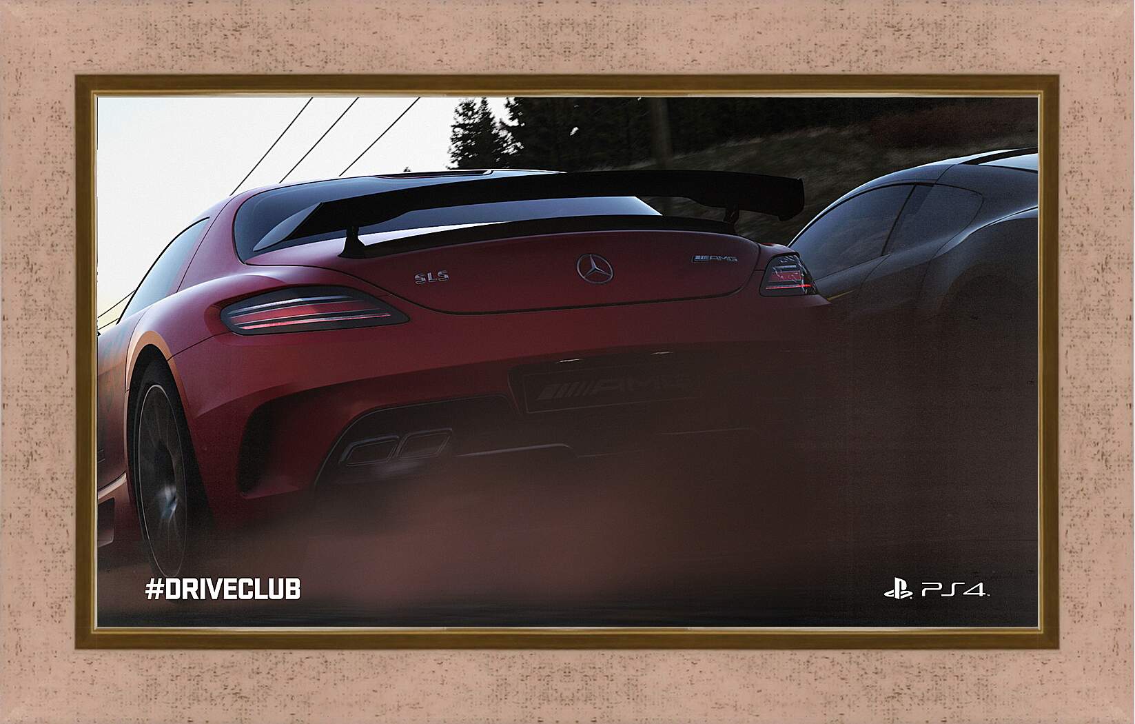 Картина в раме - Driveclub
