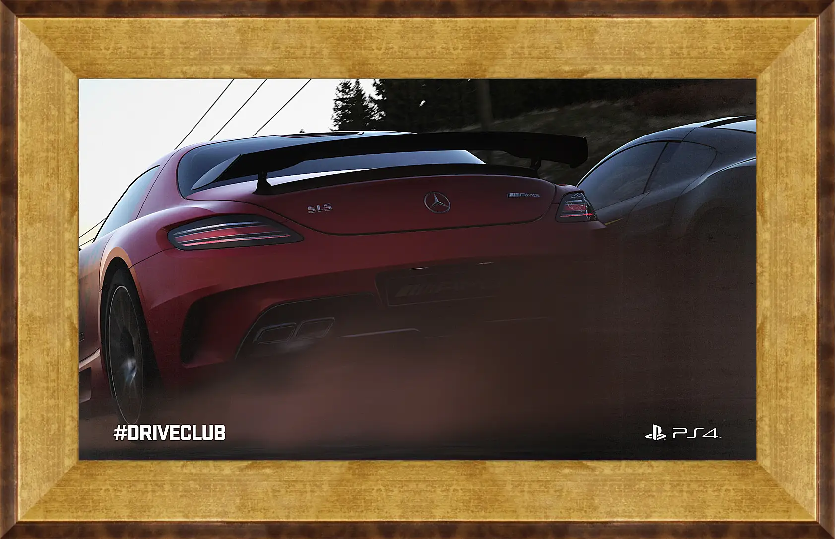 Картина в раме - Driveclub
