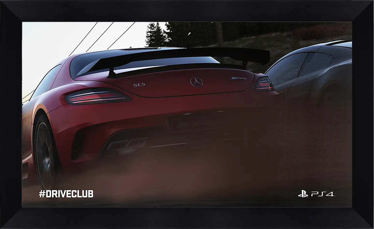 Картина в раме - Driveclub
