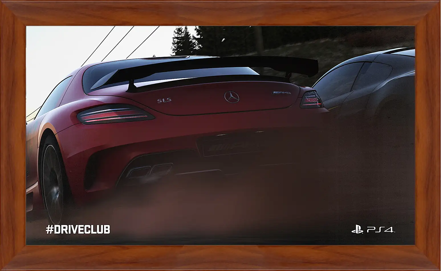 Картина в раме - Driveclub
