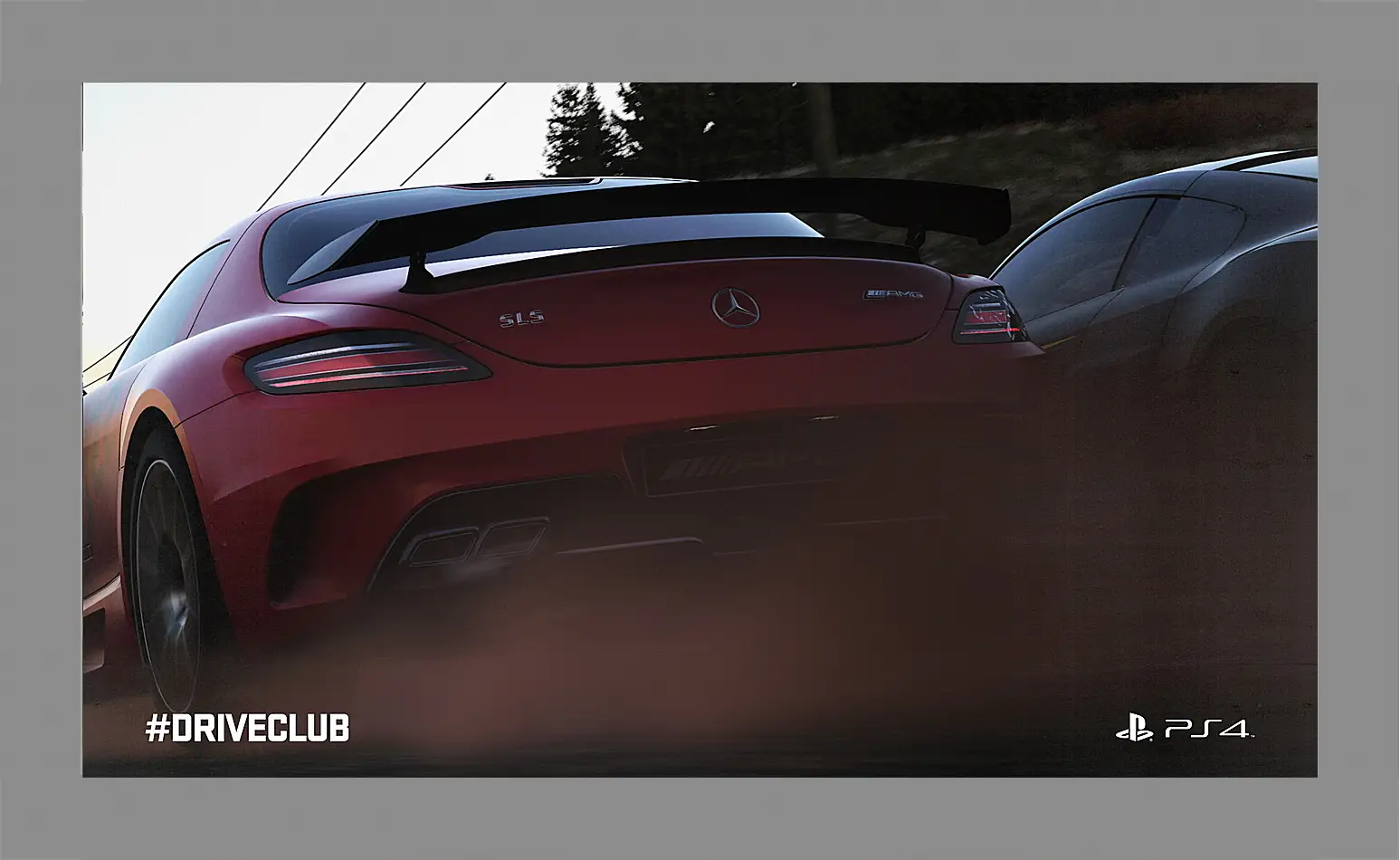 Картина в раме - Driveclub
