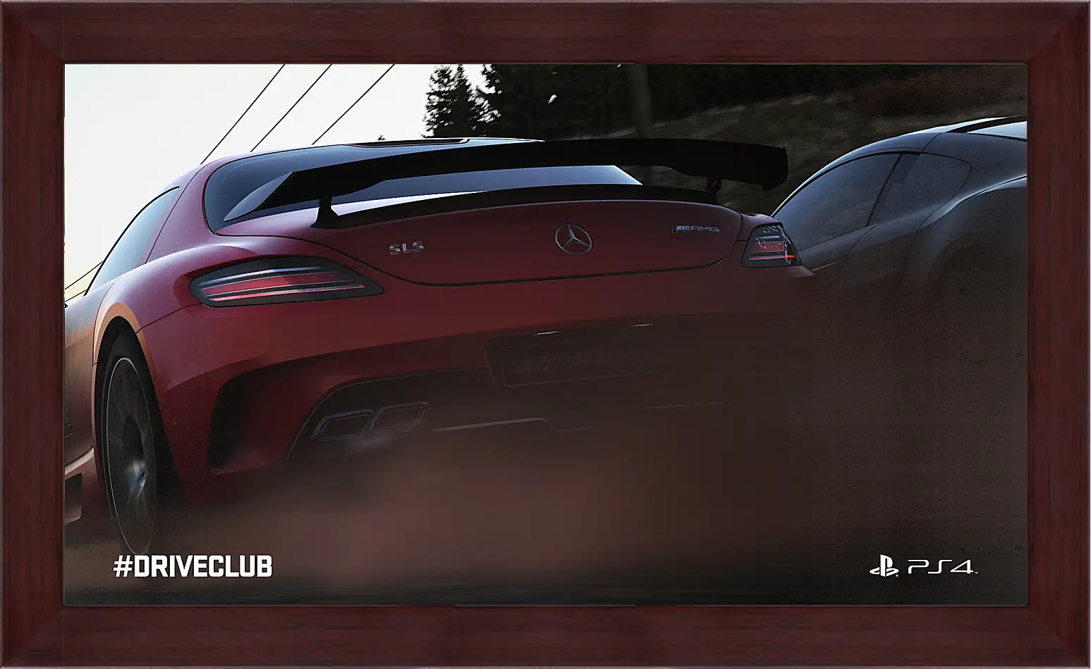 Картина в раме - Driveclub
