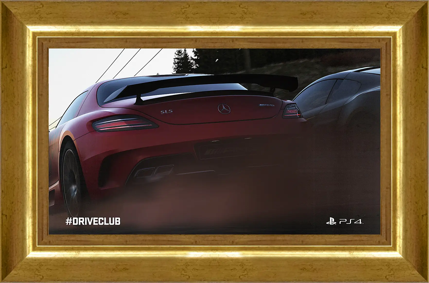 Картина в раме - Driveclub
