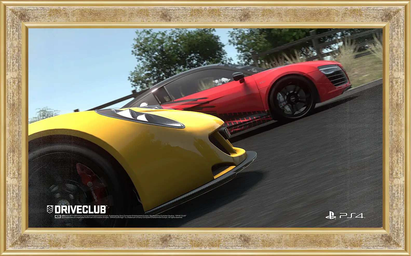 Картина в раме - Driveclub
