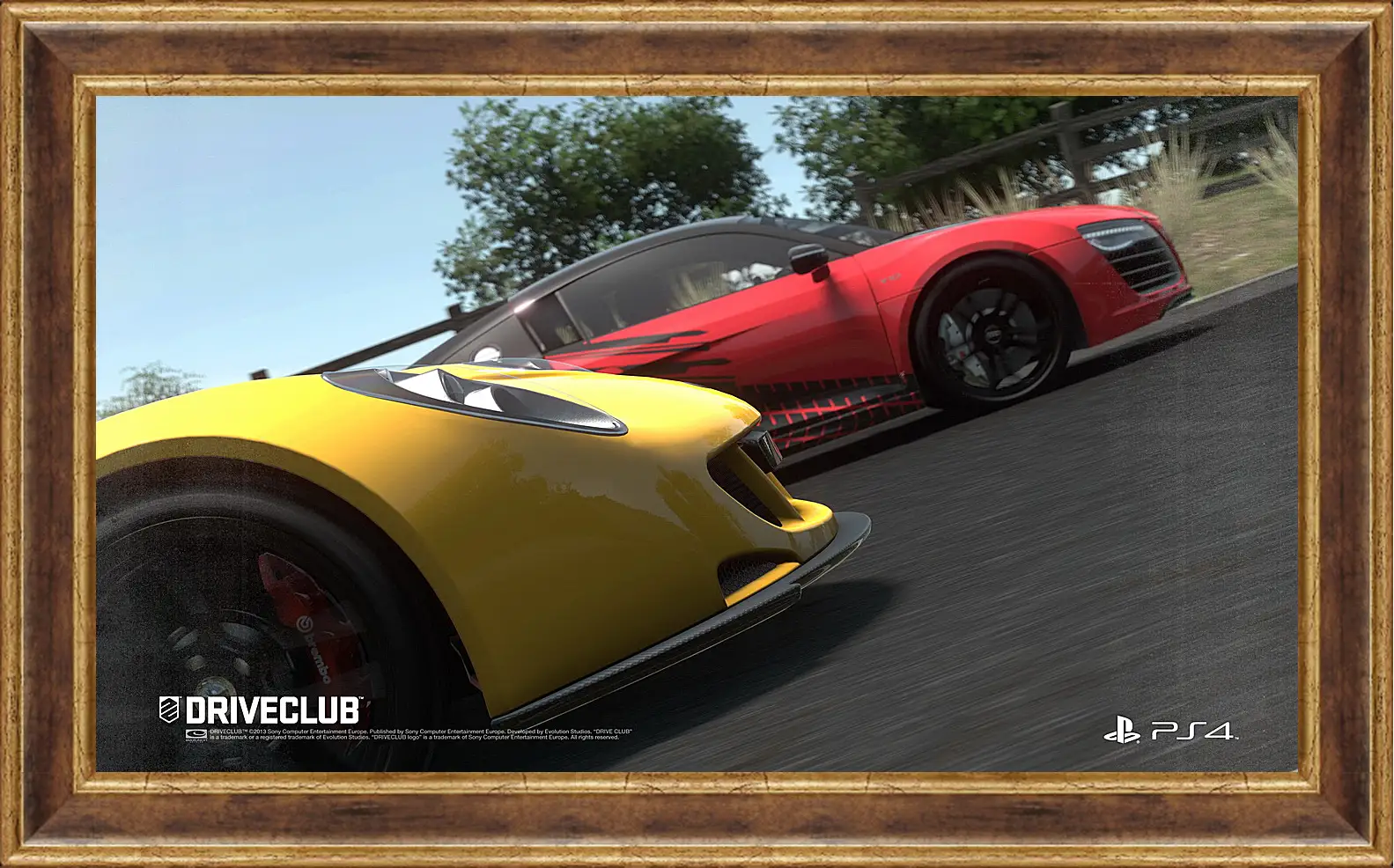 Картина в раме - Driveclub
