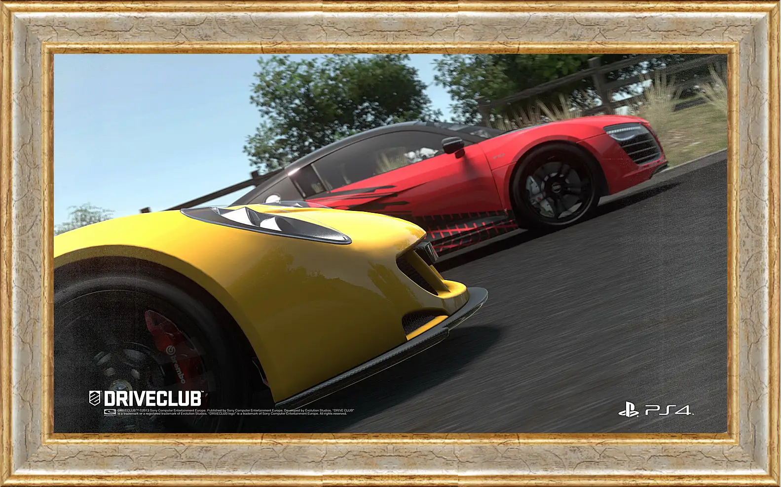 Картина в раме - Driveclub
