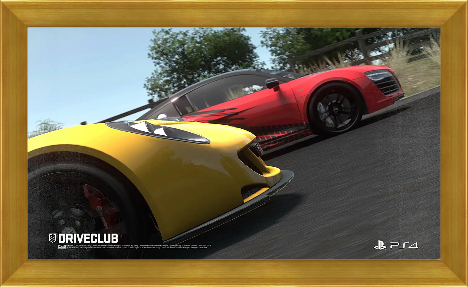 Картина в раме - Driveclub
