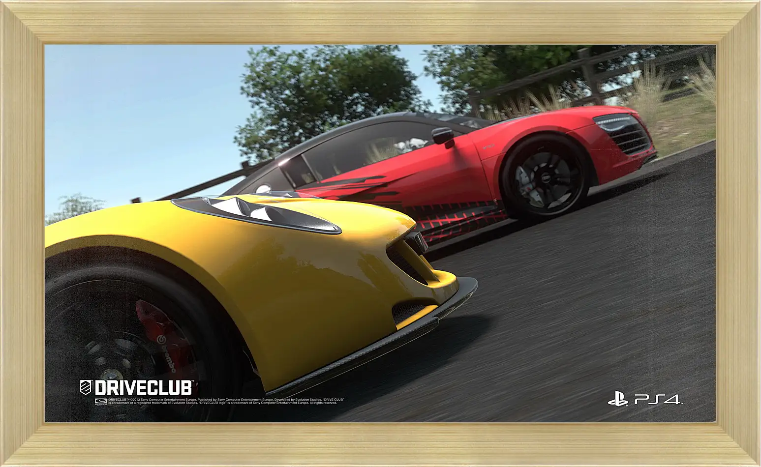 Картина в раме - Driveclub
