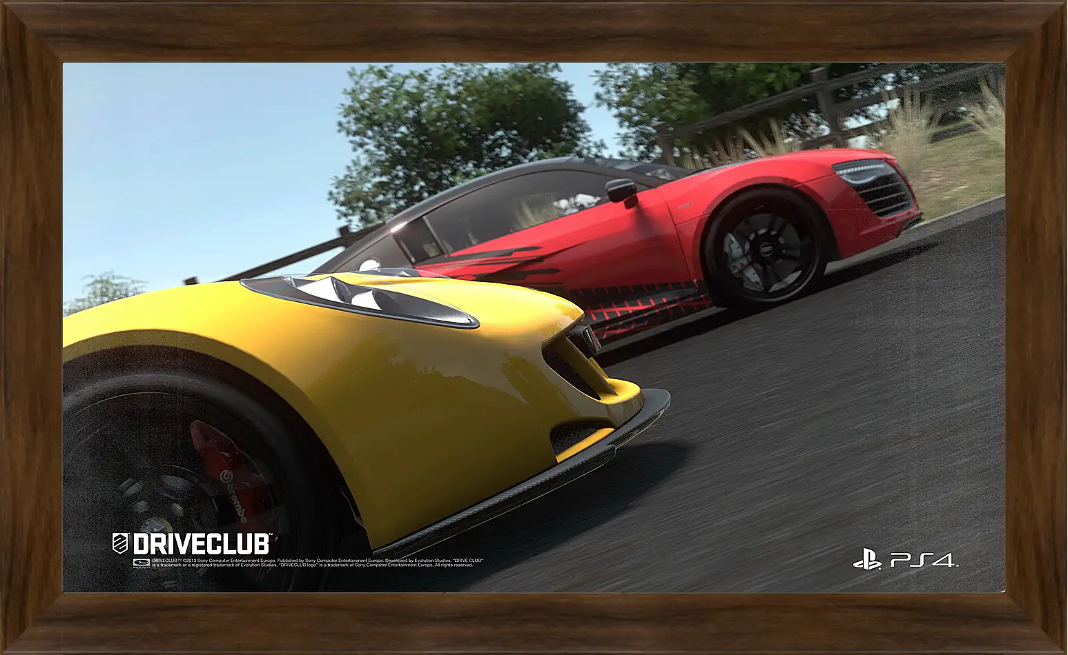 Картина в раме - Driveclub
