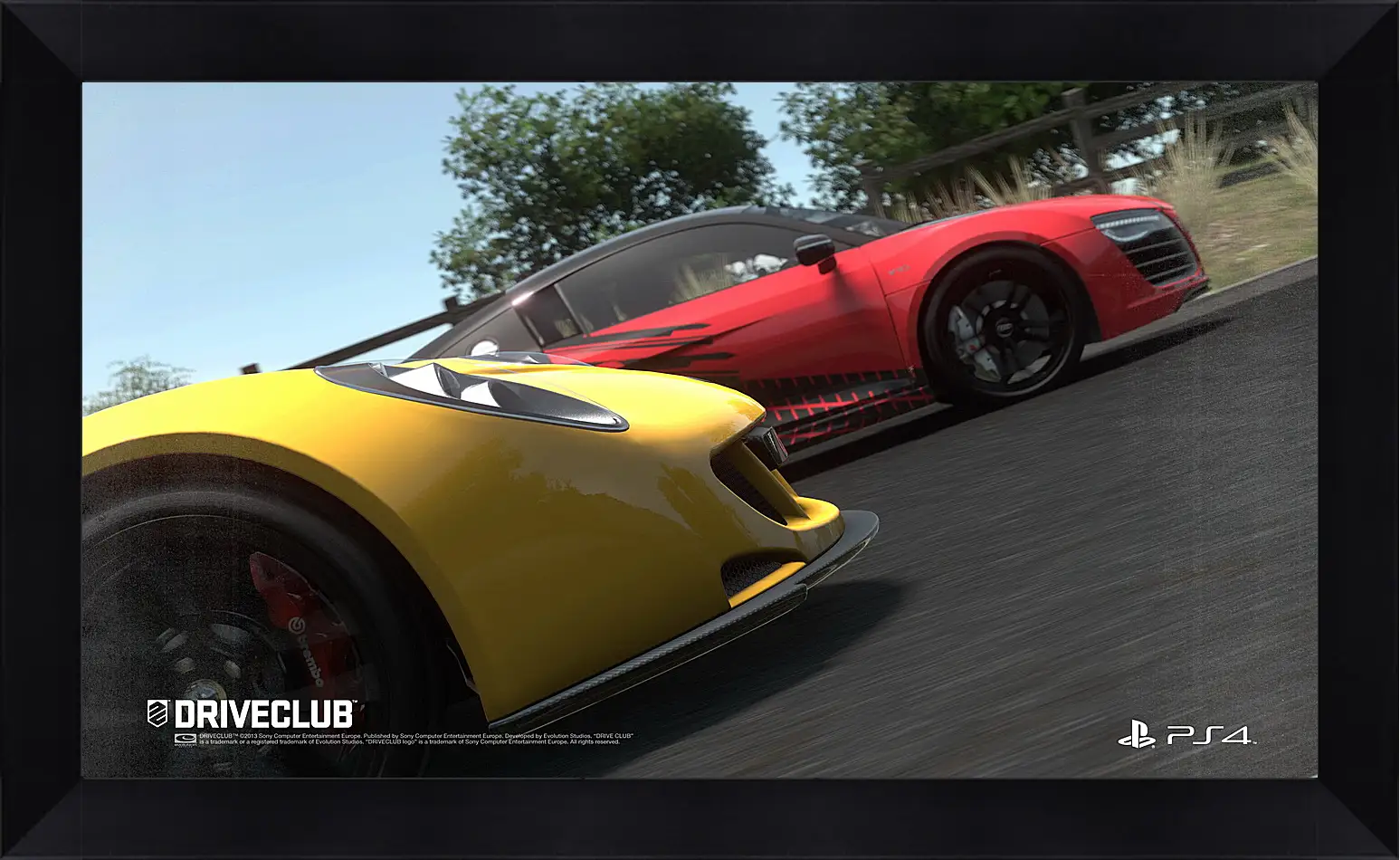 Картина в раме - Driveclub
