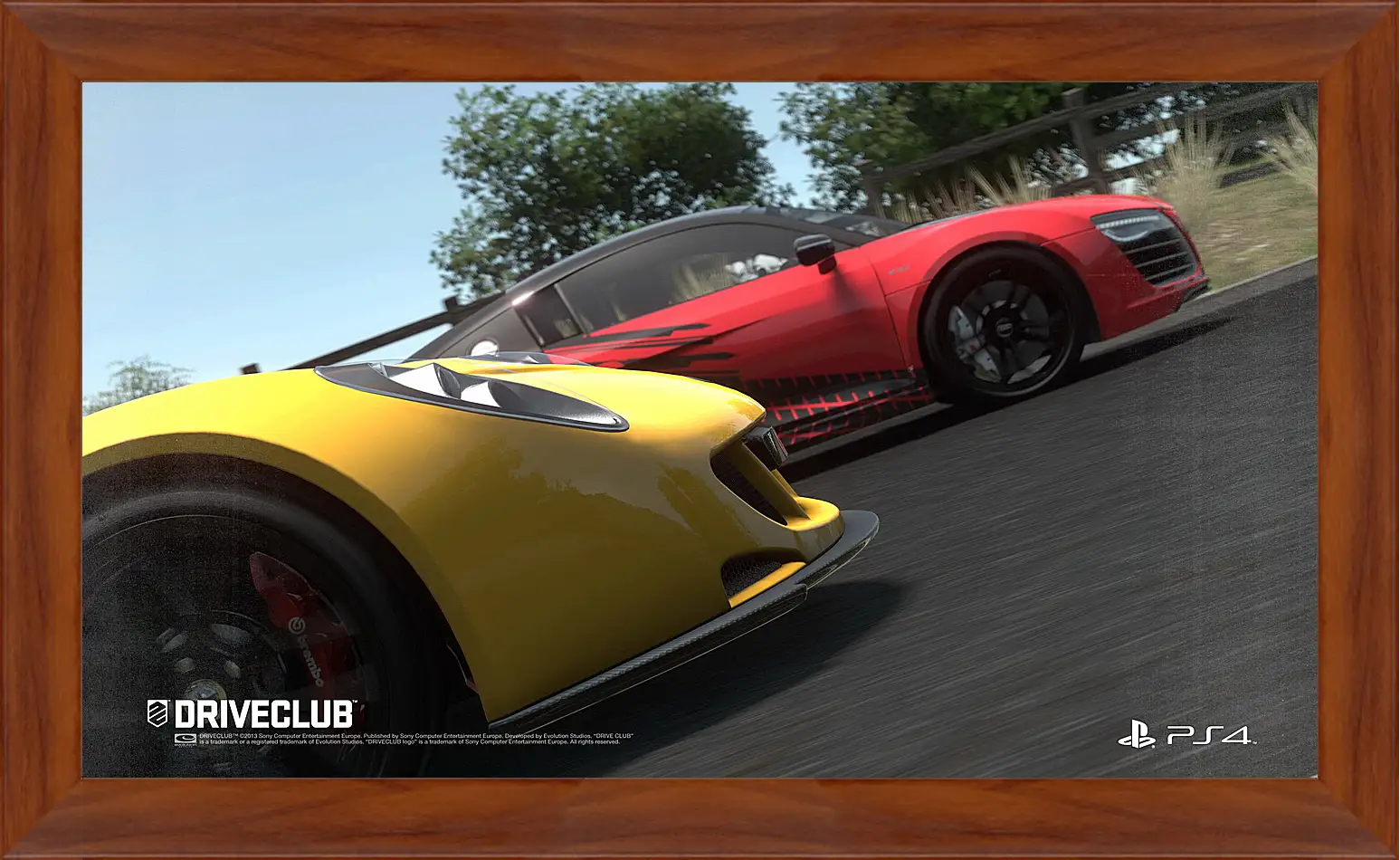 Картина в раме - Driveclub
