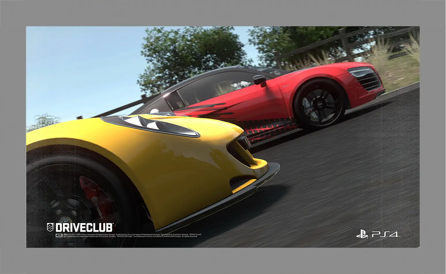 Картина в раме - Driveclub
