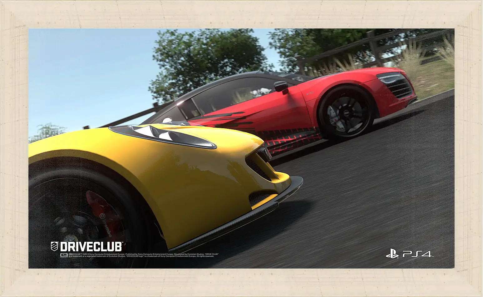 Картина в раме - Driveclub
