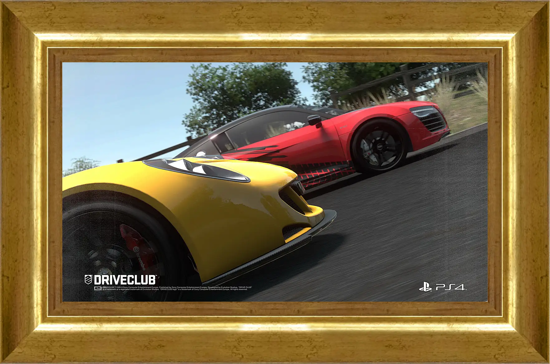 Картина в раме - Driveclub
