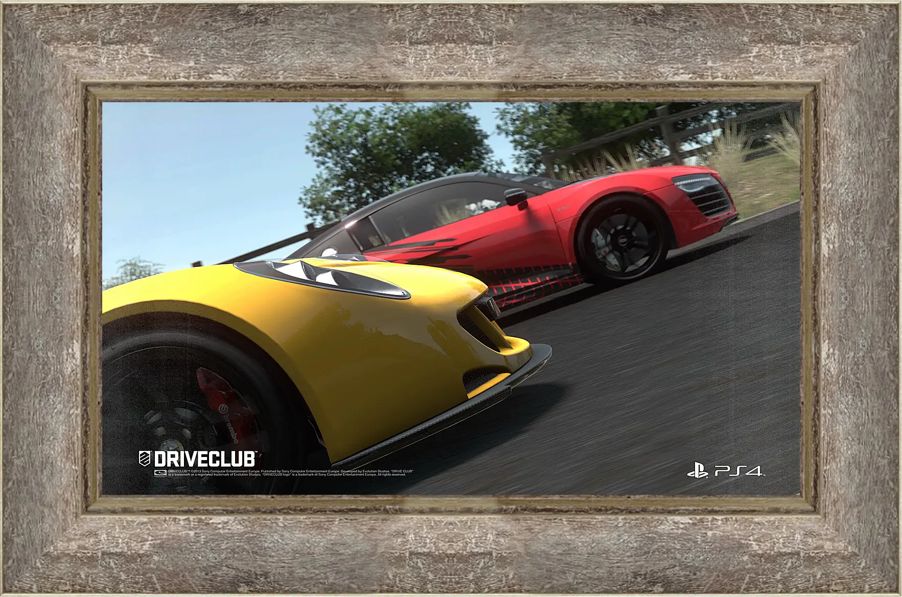 Картина в раме - Driveclub
