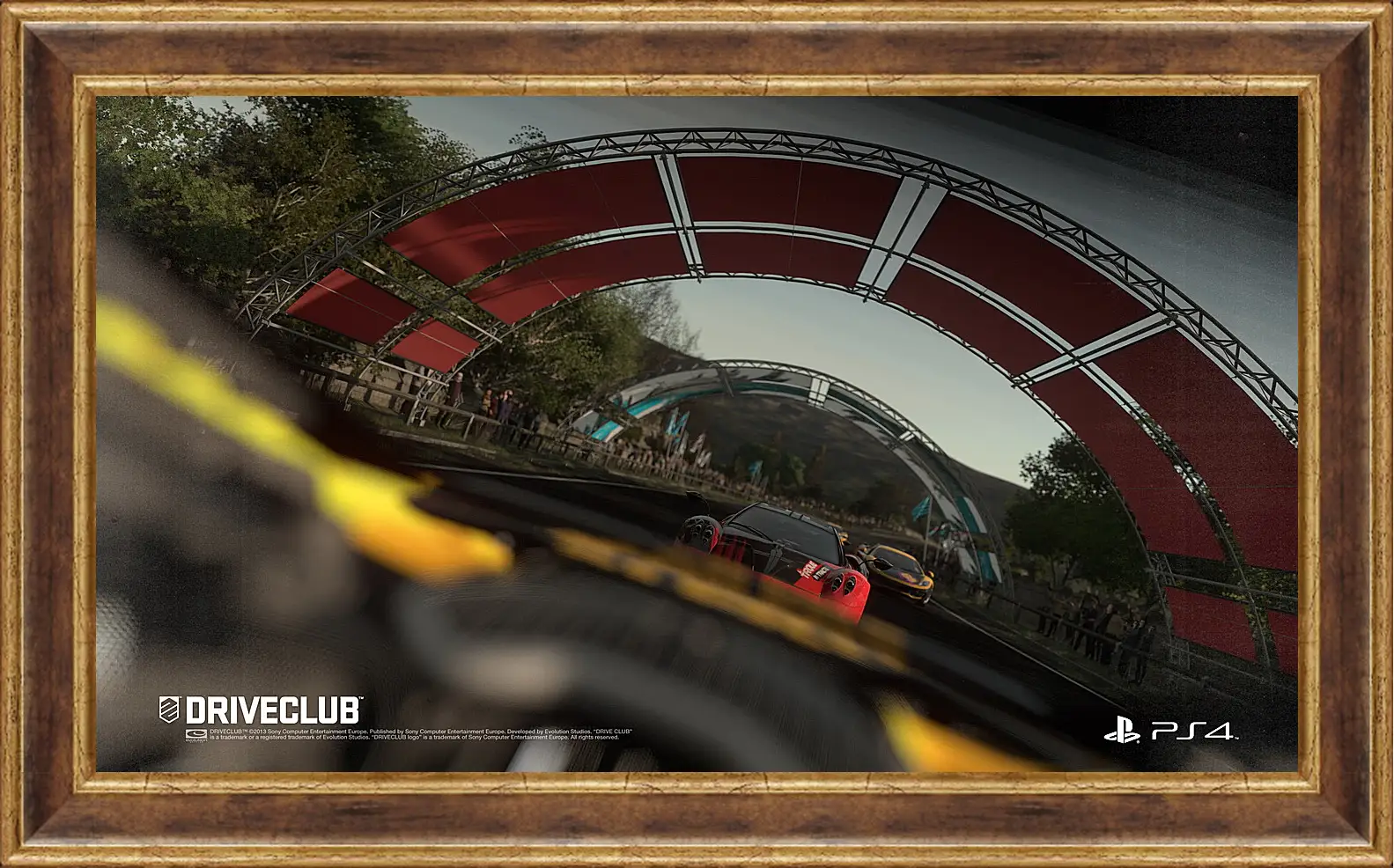 Картина в раме - Driveclub
