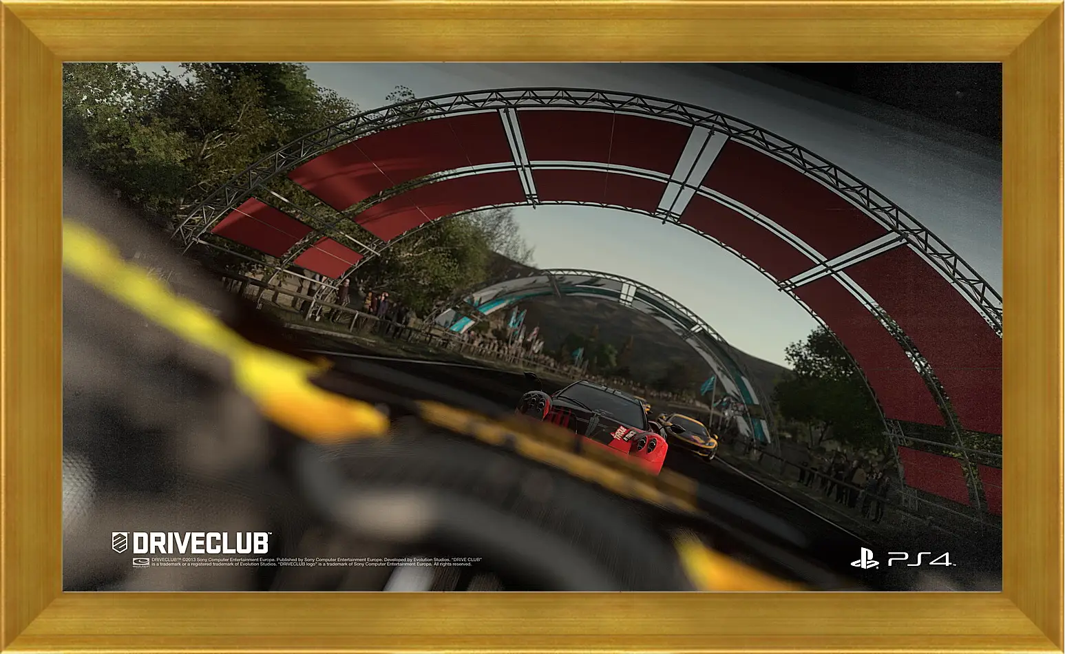 Картина в раме - Driveclub
