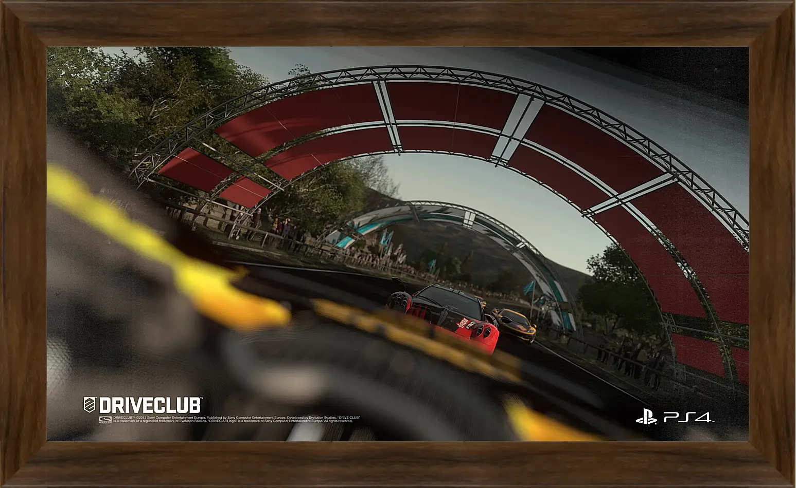 Картина в раме - Driveclub
