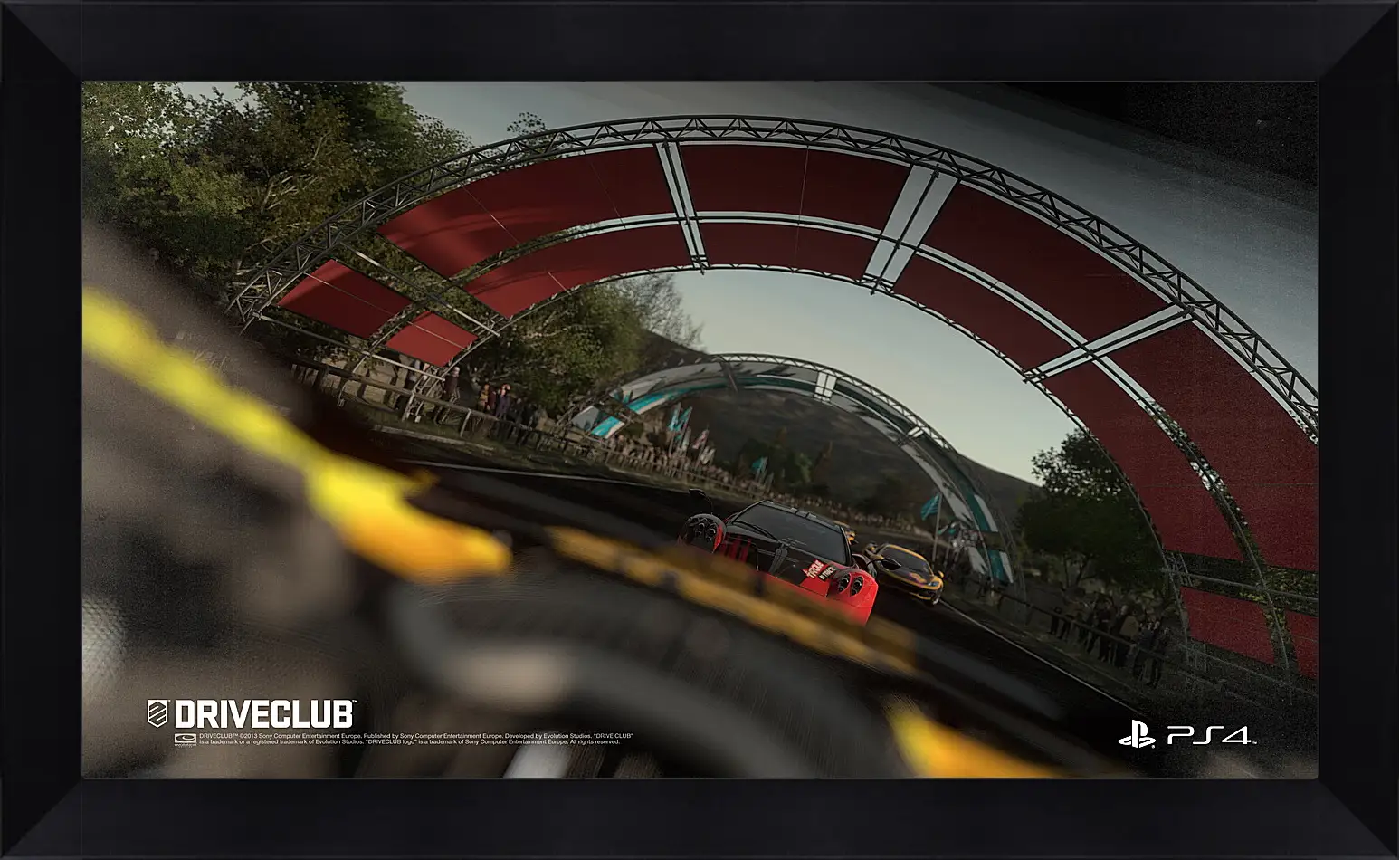 Картина в раме - Driveclub
