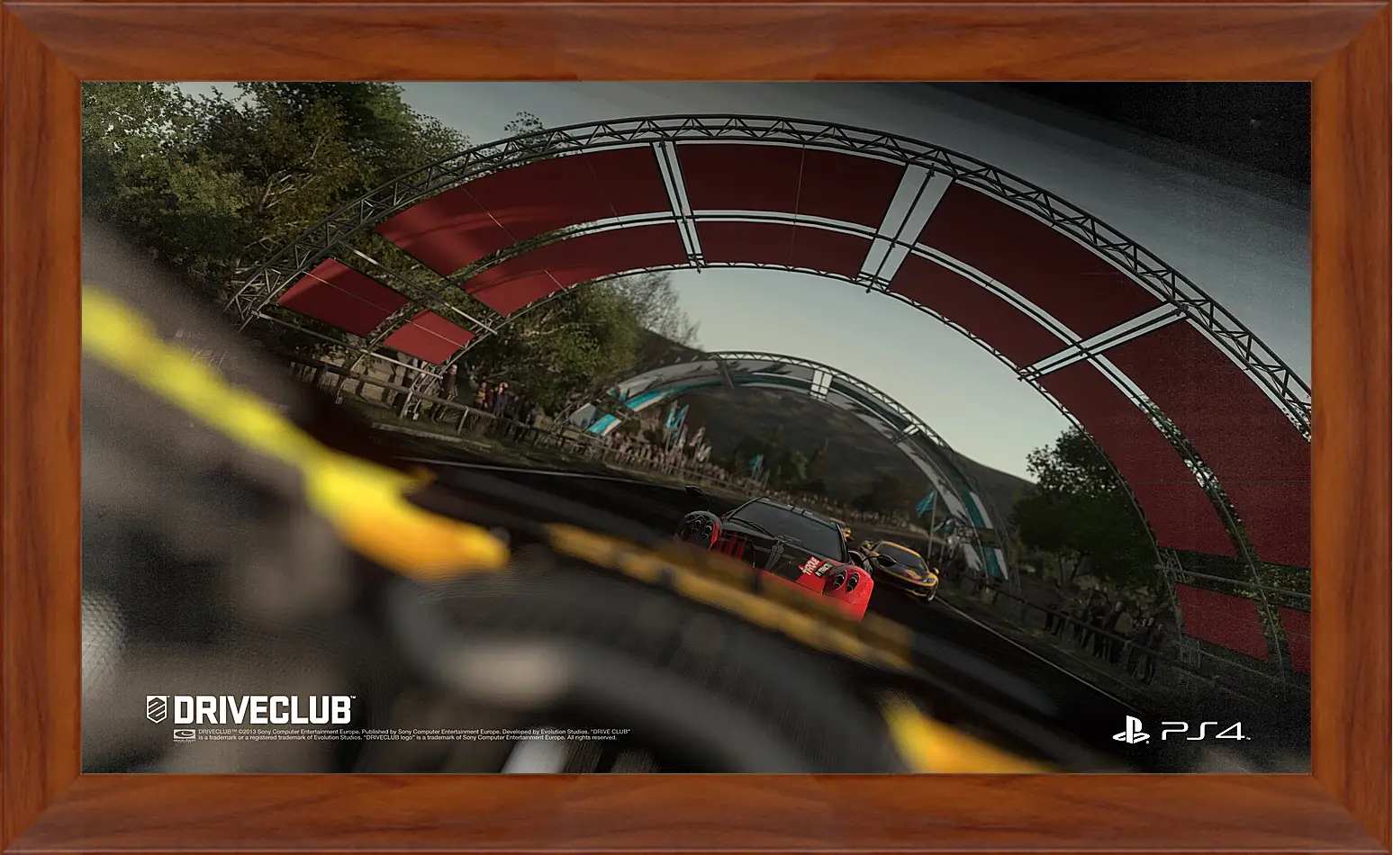 Картина в раме - Driveclub
