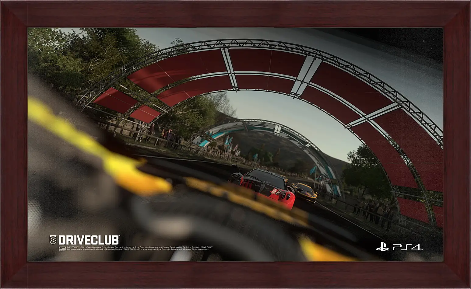 Картина в раме - Driveclub
