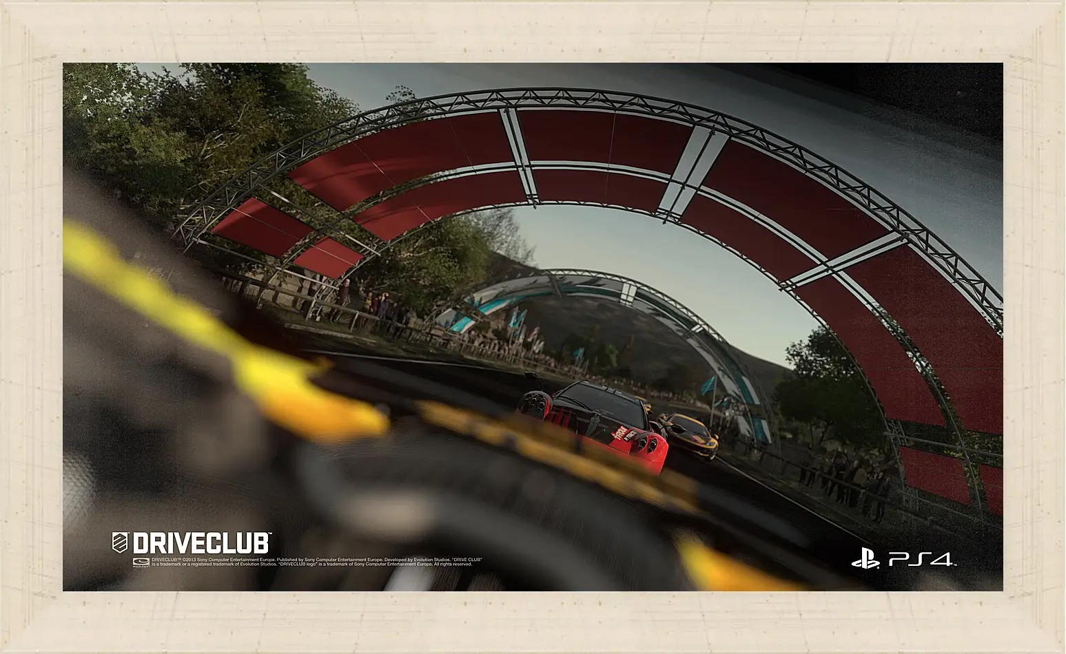 Картина в раме - Driveclub
